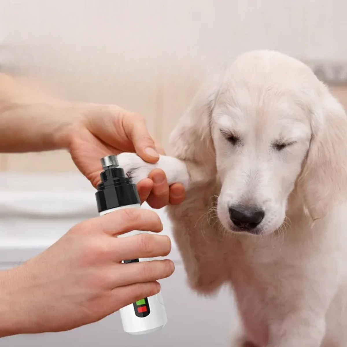 PetEase™ – משייף הציפורניים השקט שיעשה סוף לפחדים של הכלב שלך